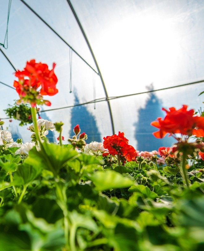 imagen-agricultura